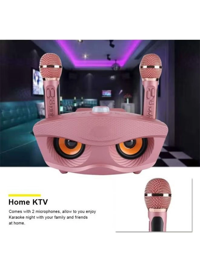 SDRD Speaker with Mic - 2 microphones