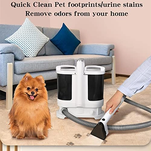 Cleaning machines - 1250ml