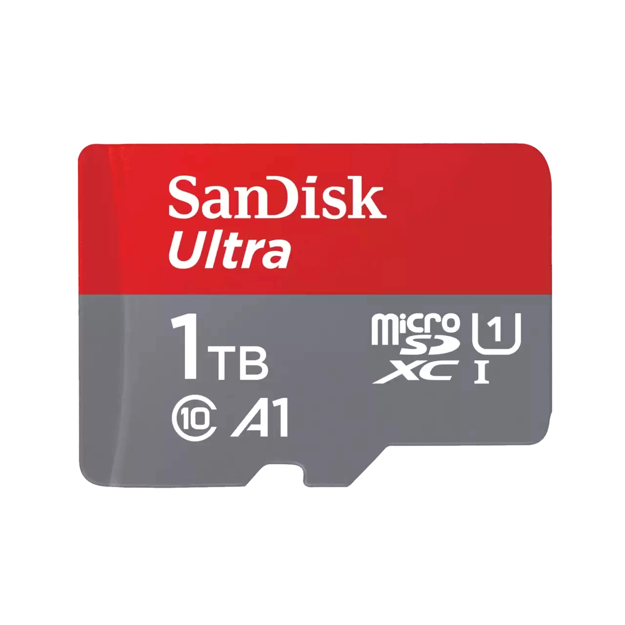 SanDisk SDSQUAC-1T00-GN6MN - 1TB