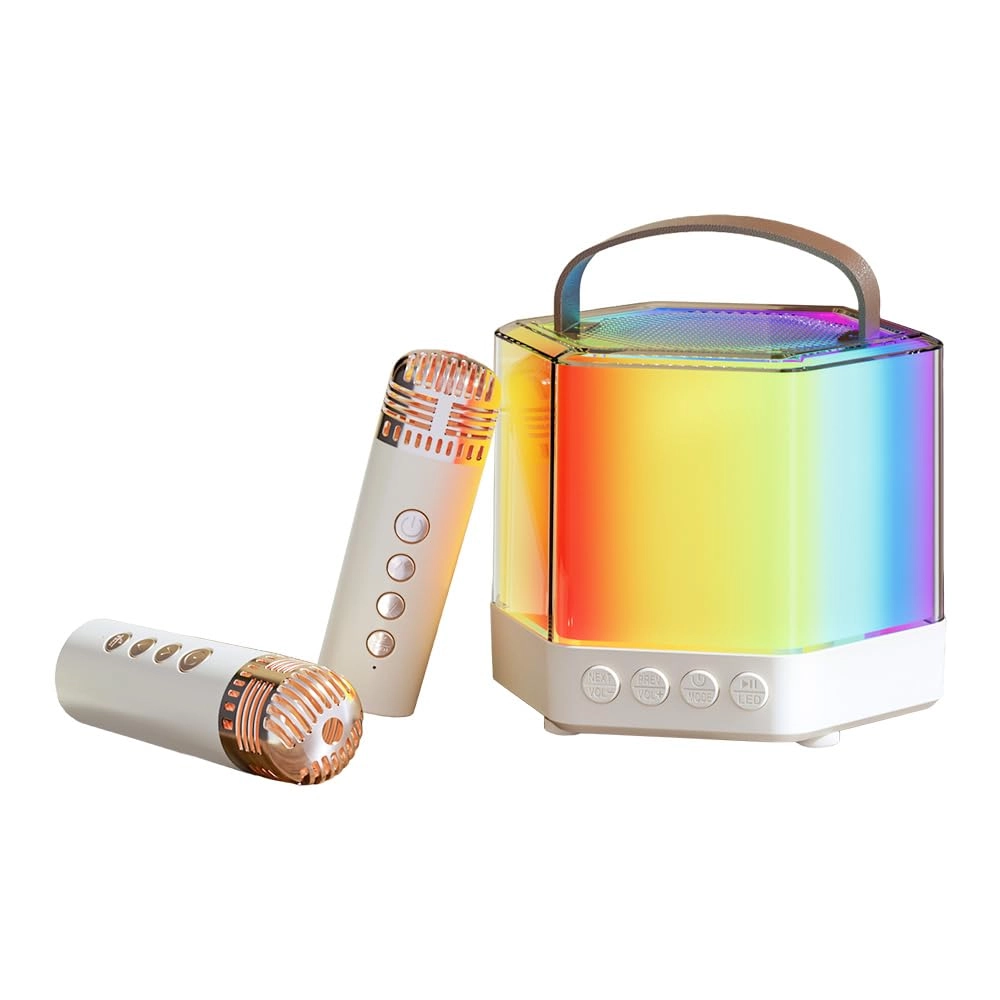 Karaoke Machine - 2 15W