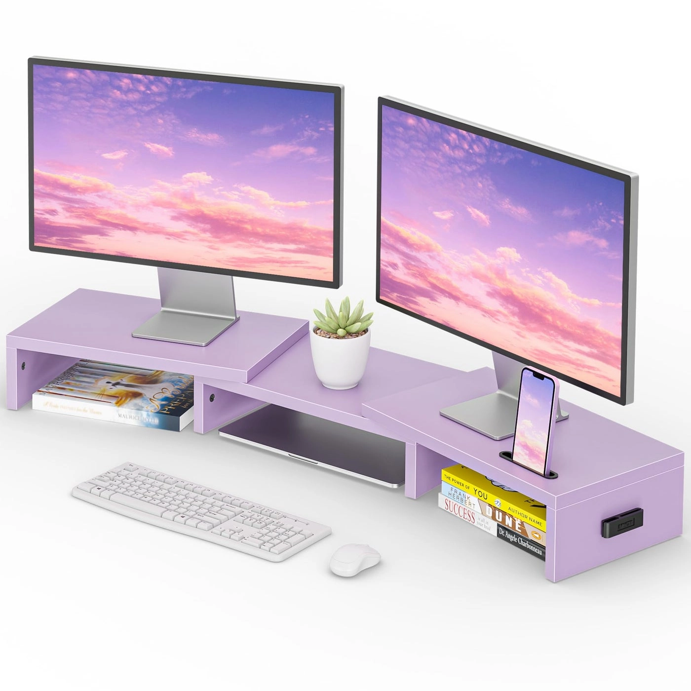 Dual Monitor Stand