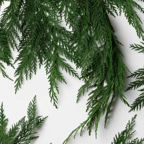 POLO DEEP BLUE Eau de Parfum 125 ml