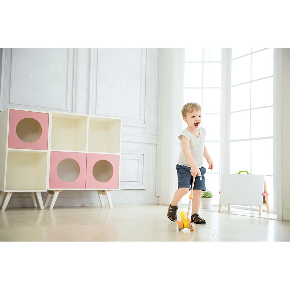 Push Duck - Multi Colour 1+