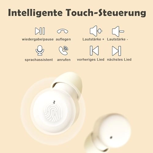 ZXY-C5DE Wireless Earbud