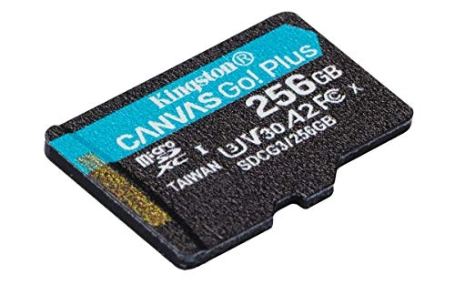 Canvas Go Plus - 256 GB