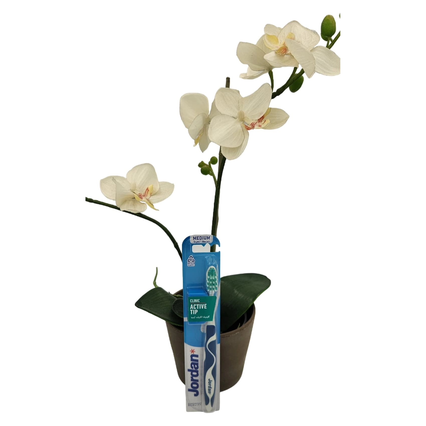 Clinic Active Tip Toothbrush