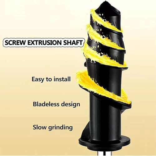 Cold Press Juicer - 100W 280ml