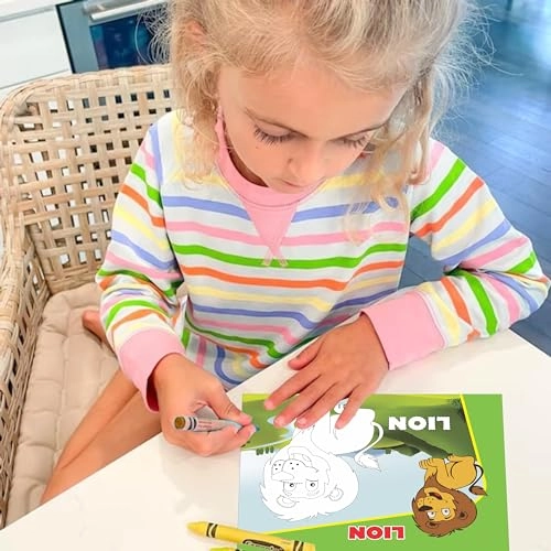 Color & Clean Flash Cards - 36 months - 10 years 14 pieces