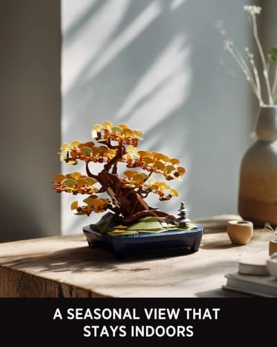 Ginkgo Bonsai Tree