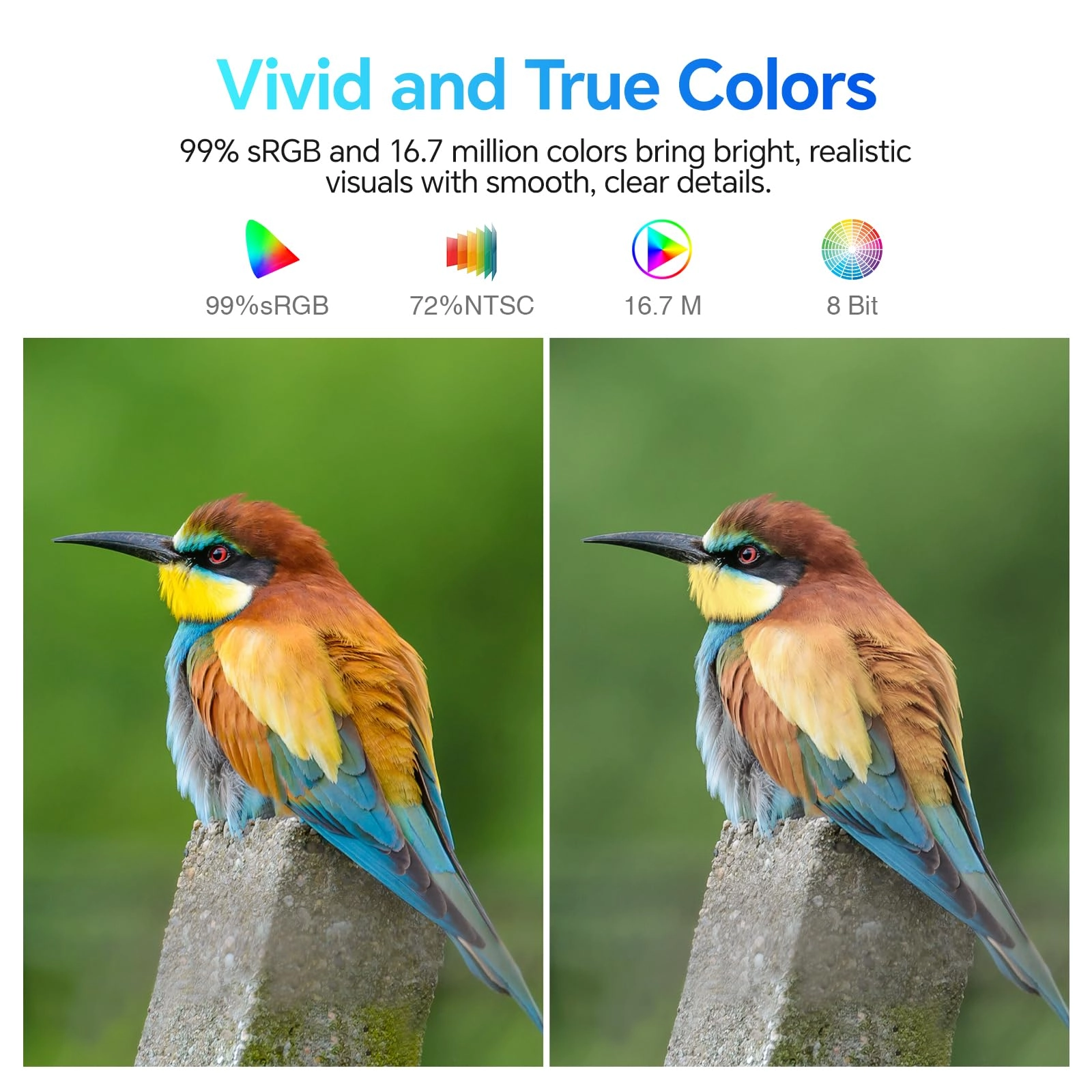 E2412F - 24 inch 1920x1080