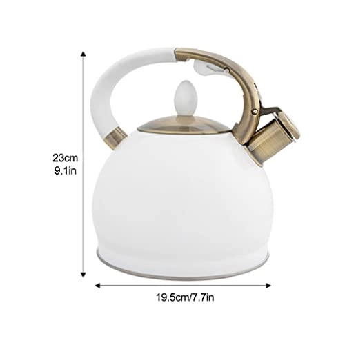 Stainless Steel Kettle - 2.5L