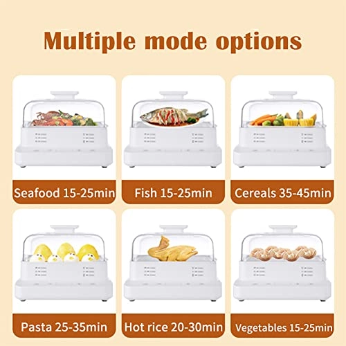 Electric Steamer - 20 Liters