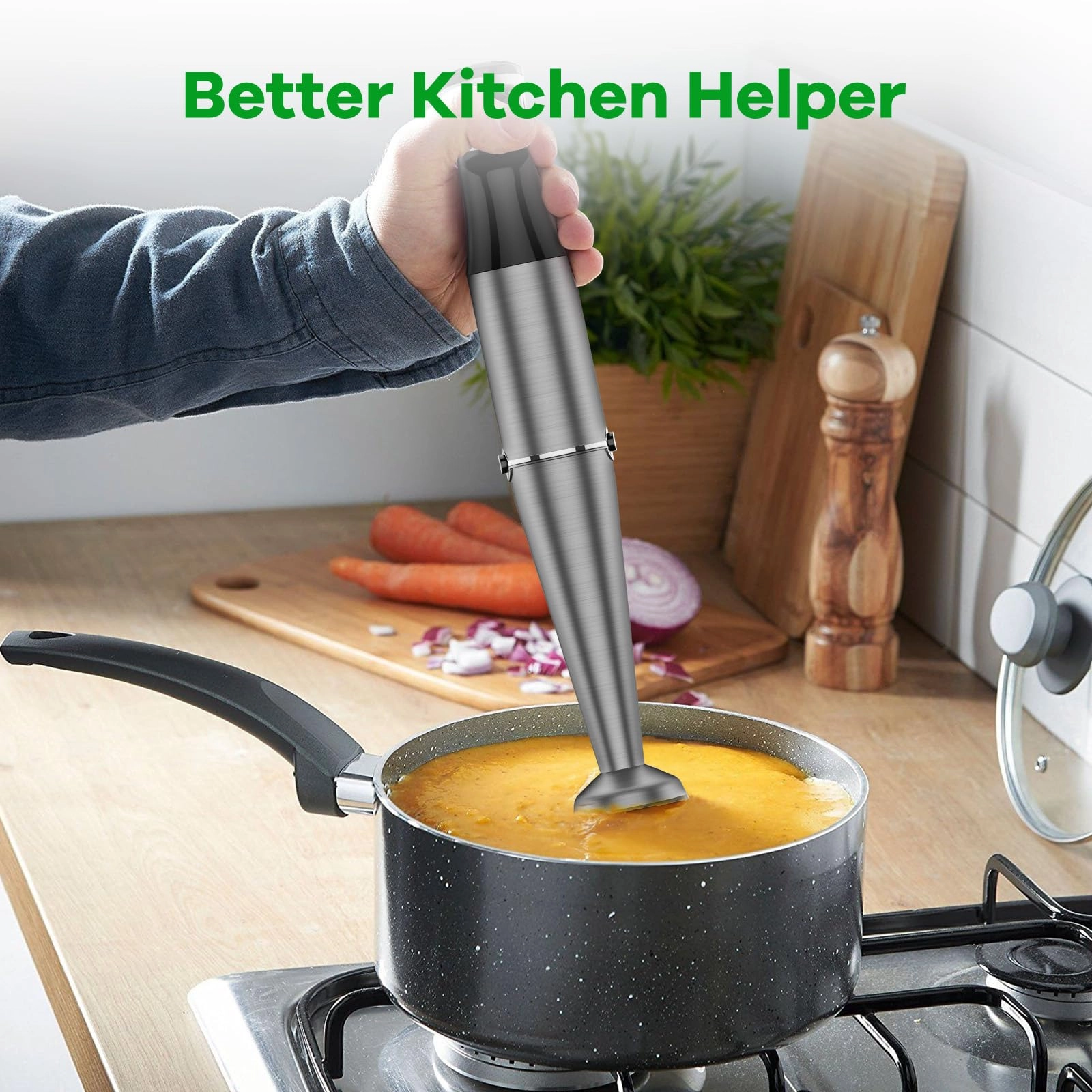 Immersion Blender - 1100W