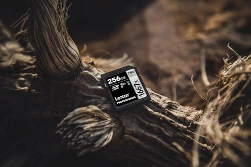 Professional 1667x - 256GB