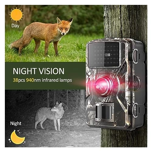 Wildlife HD Hunting Rear Camera - 16MP