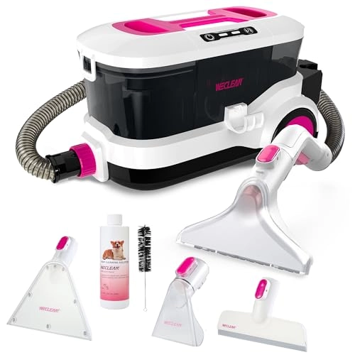 WECLEAN C4 - Deep Cleaner 800W