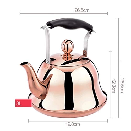 Stovetop Induction Whistling Kettle - 5L