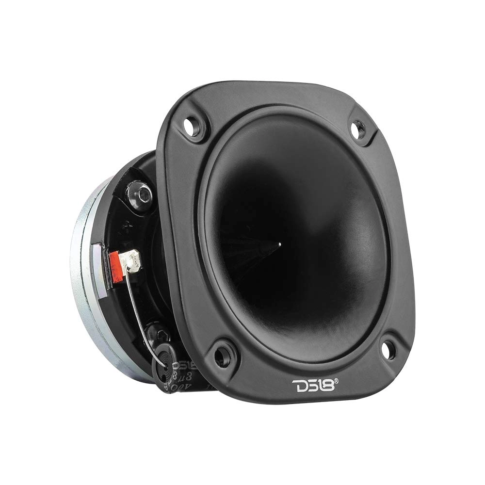 DS18 PRO-TWN2 - 100W RMS
