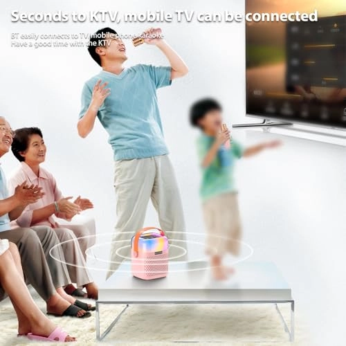 Karaoke Machine - 2 15W