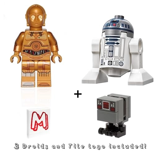 R2-D2 Astromech Droid + MSE-6 Droid