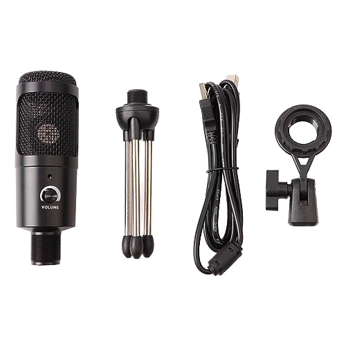 RT2152WQ USB Microphone