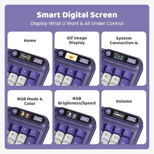 Z98 - Wired/Wireless