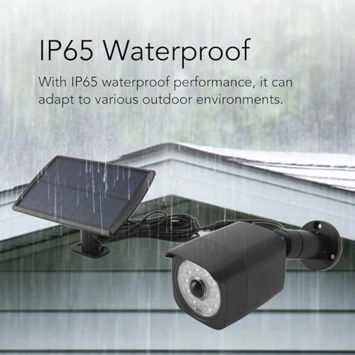 Motion Sensor Solar Light - Courtyard