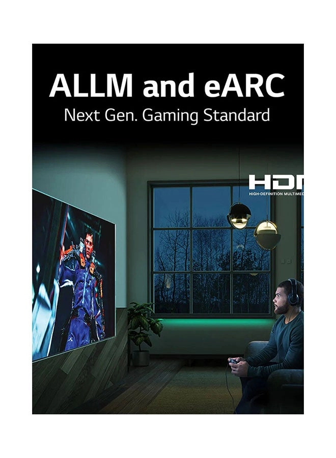 65NANO75VPA-AMAE - 65 Inch