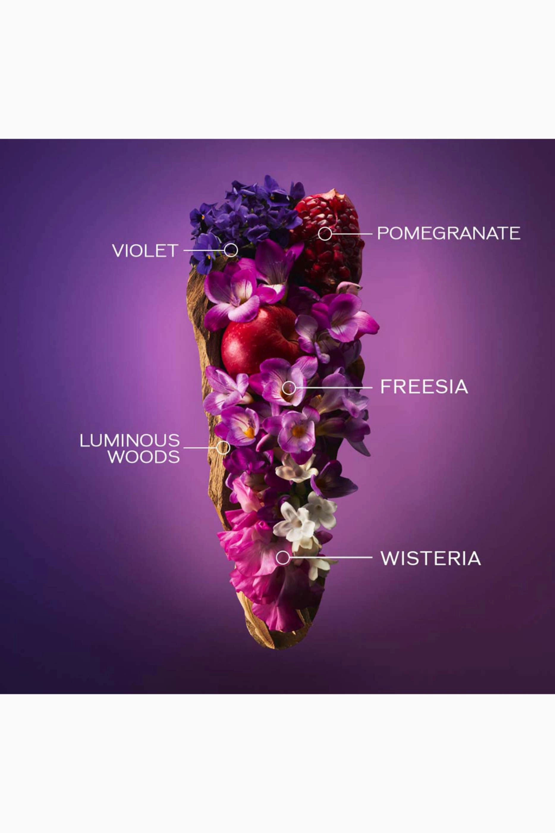 Ginza Eau de Parfum - 50ml