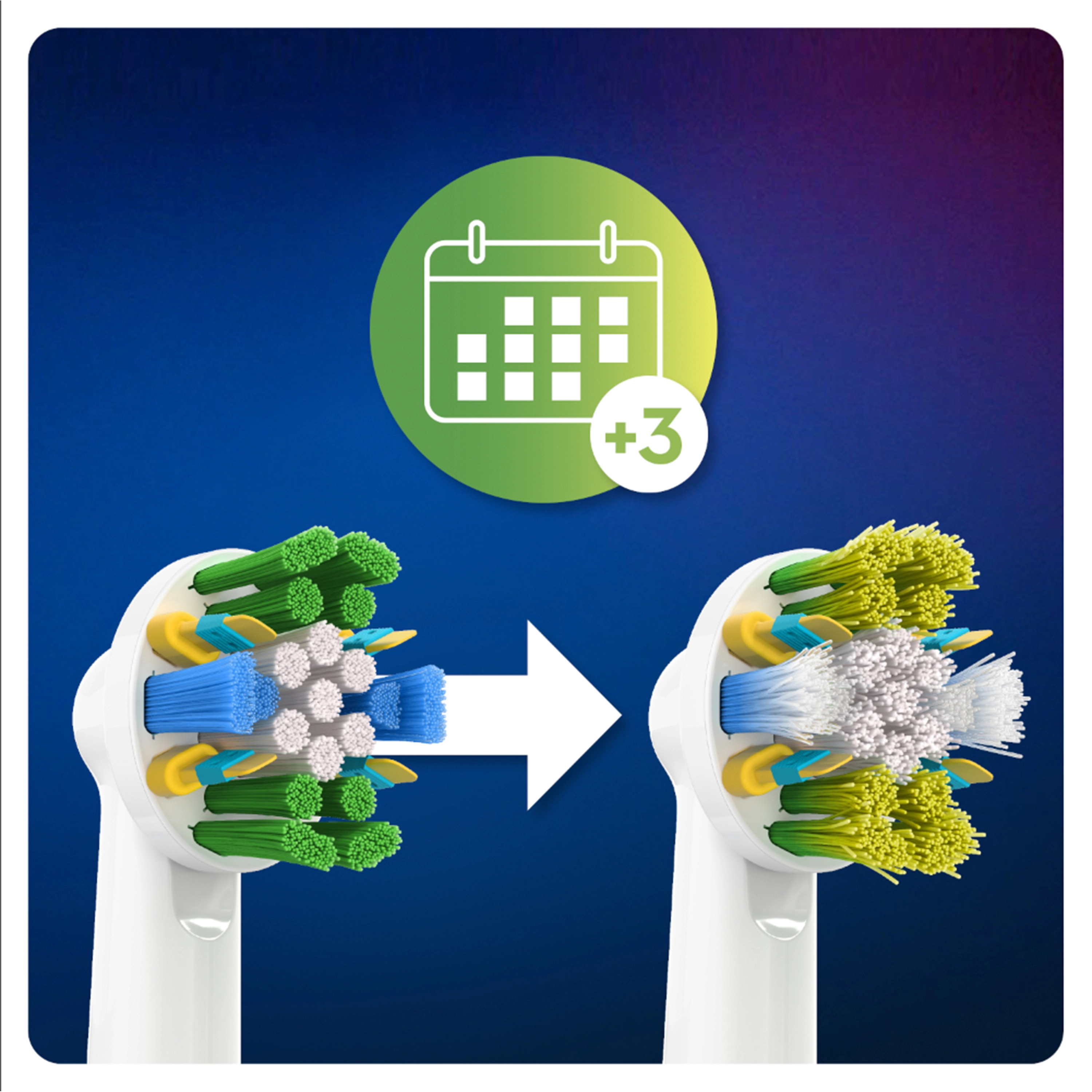 FlossAction - 5 Count White