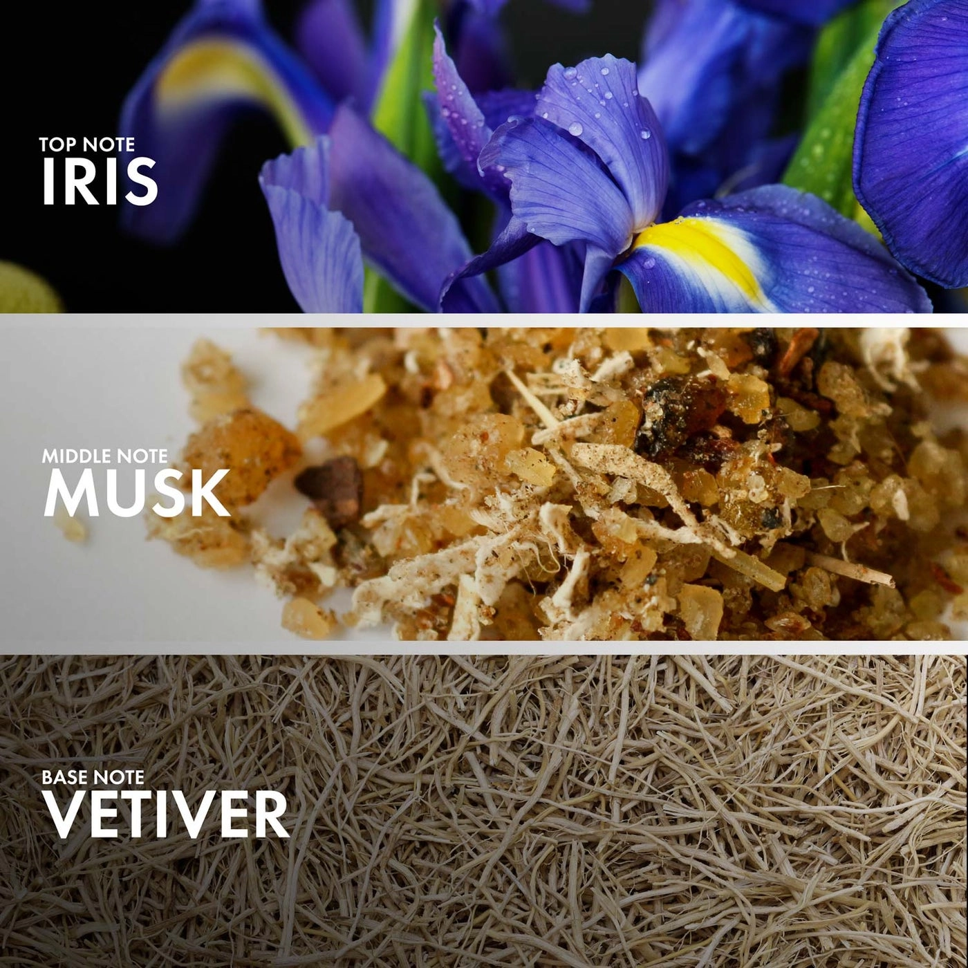 VETIVER STYRAX Eau de Parfum 50ml