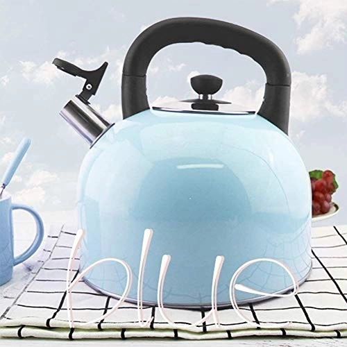 Whistling Tea Kettle - 4l