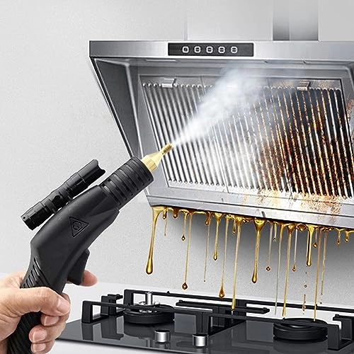 High Pressure Steam Cleaner - 5.0BAR