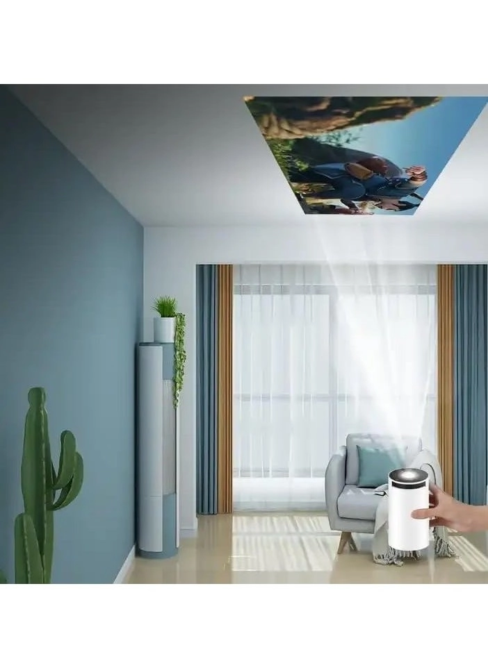 HY300 200 ANSI lumens