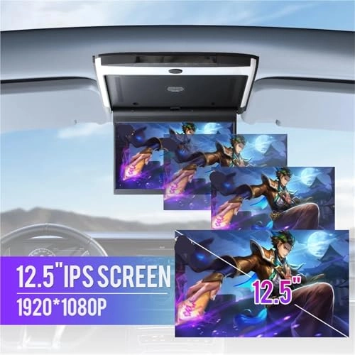Car Roof Monitor - 12.5 inch