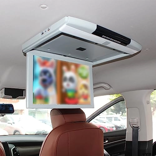 Car Video Player - 17.3 Inch