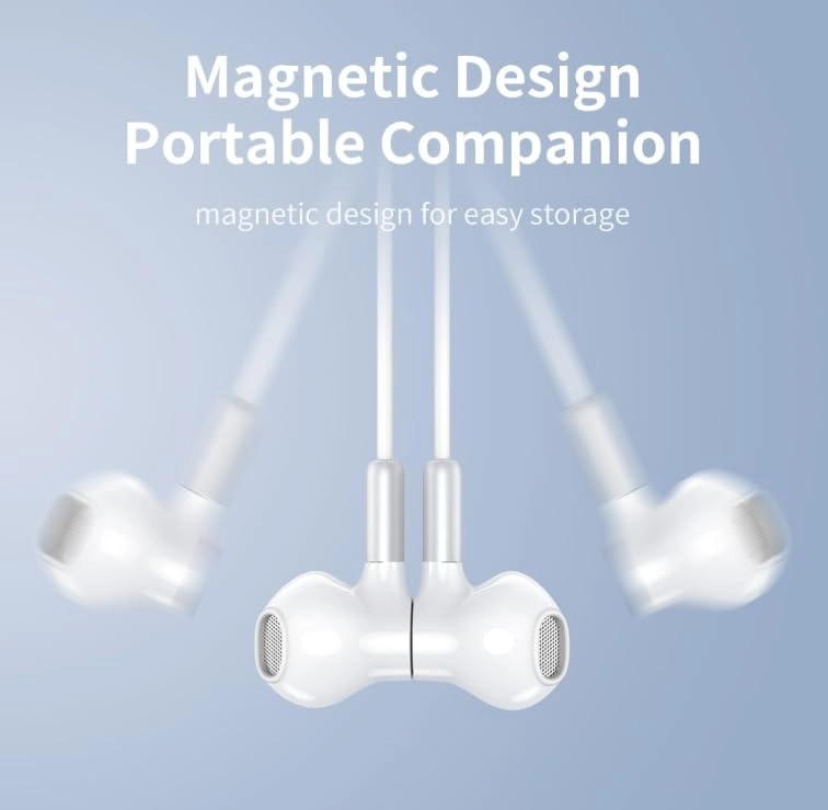 DL910 Wired Earphone