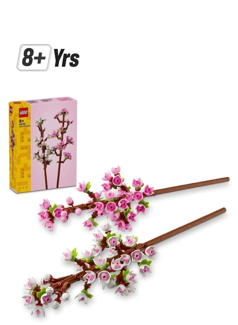 Cherry Blossoms Celebration Gift (40725) - Flowers