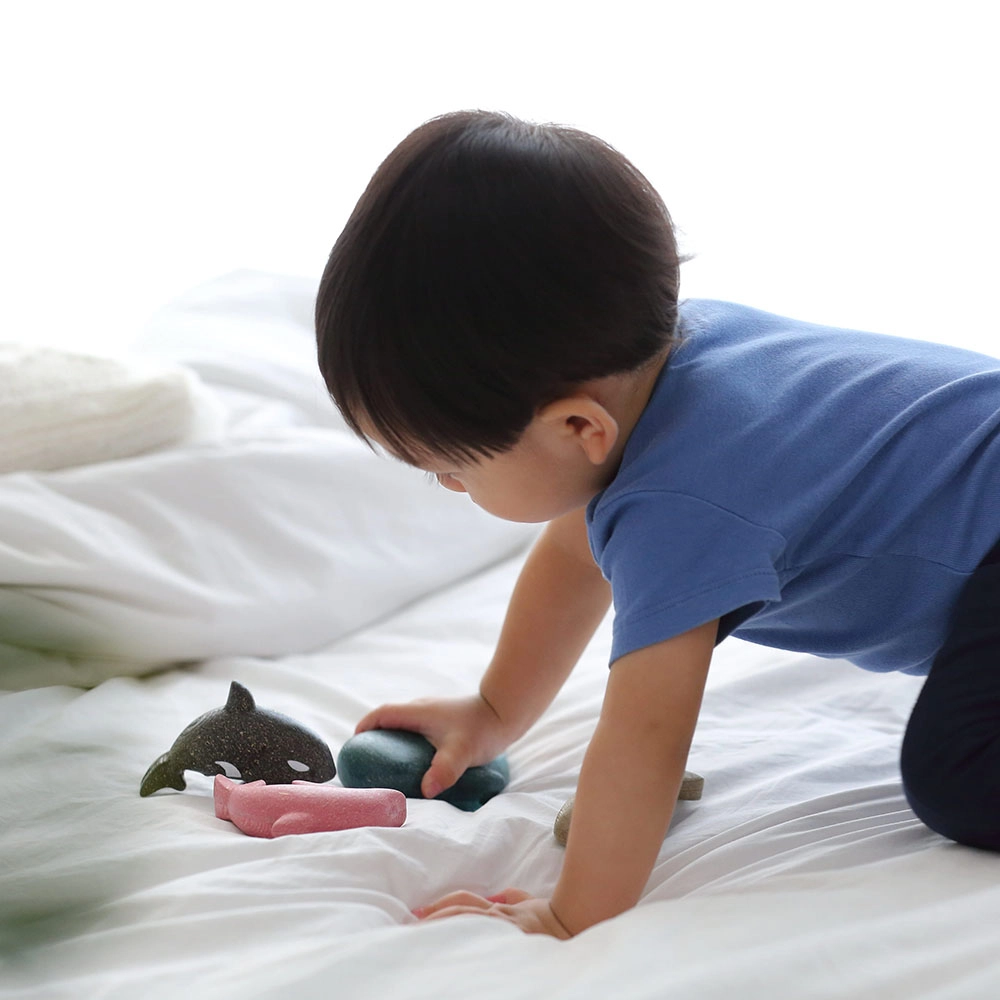 Sea Life Puzzle - 3 +