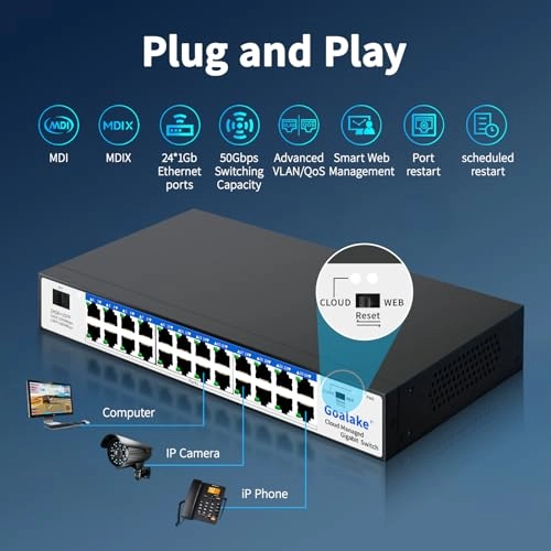 24 Gigabit Ports