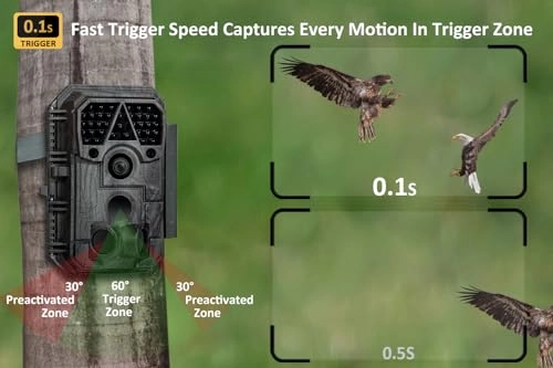 P70 - 64 megapixel Pack