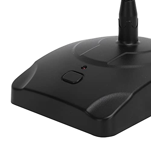 Gooseneck XLR Microphone