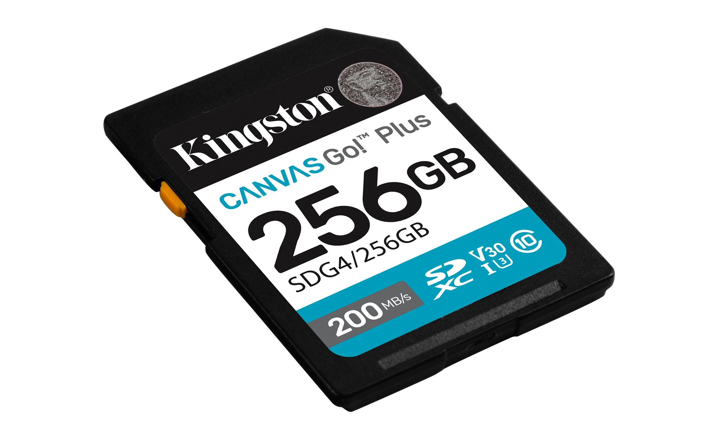 Canvas Select Plus - 256 GB
