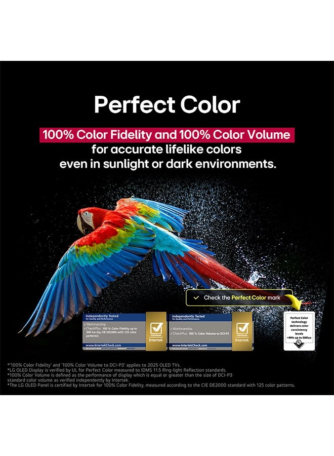 OLED55C56LA-AMAG - 55 in