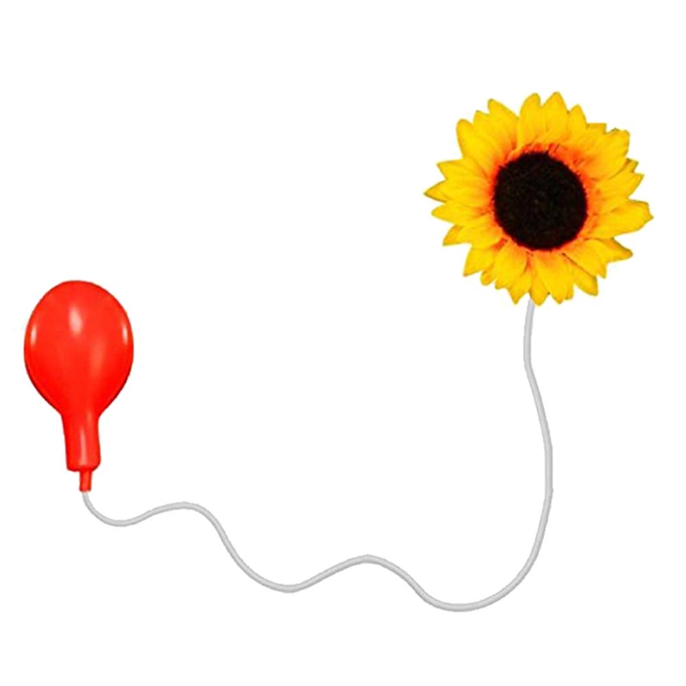 Clown Squirt Flower - Suitable for 4 years & above