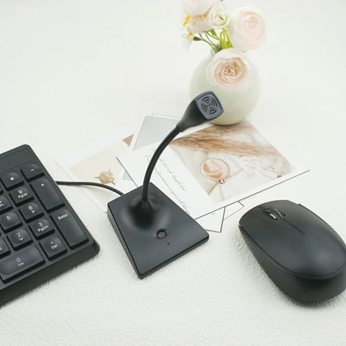 RDF23 USB Microphone