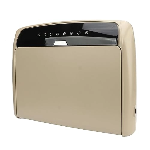 Car Overhead Player - 15.6in