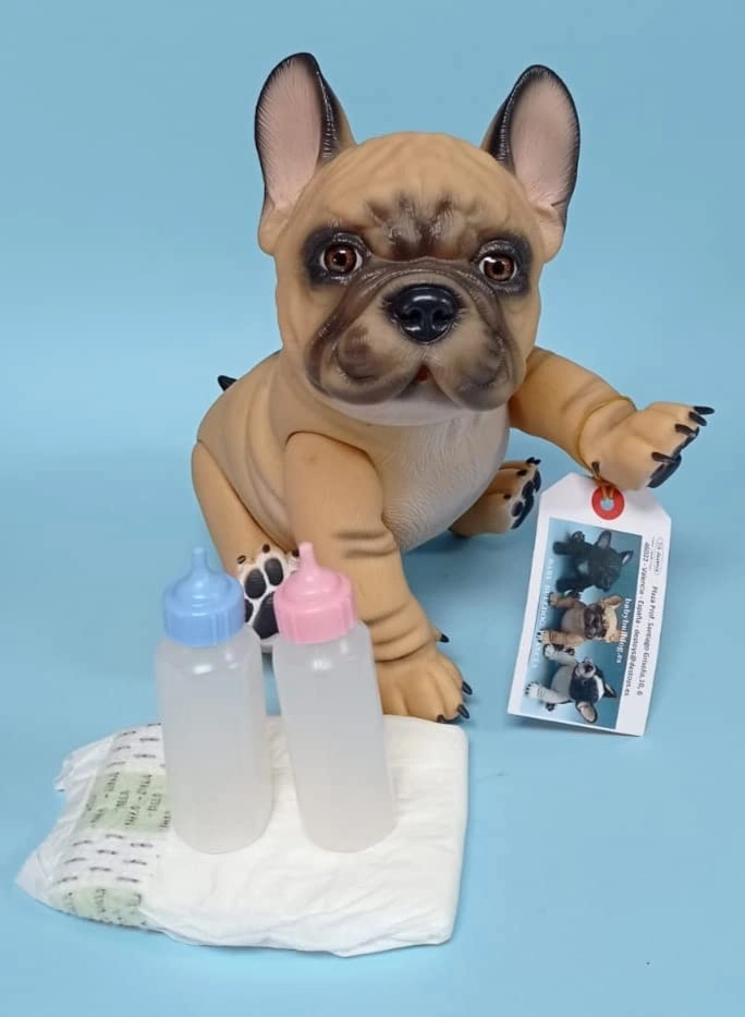 Dog - Animal - Baby Bulldog Francés - 3 years 3 (30 cm) (BDF-001)