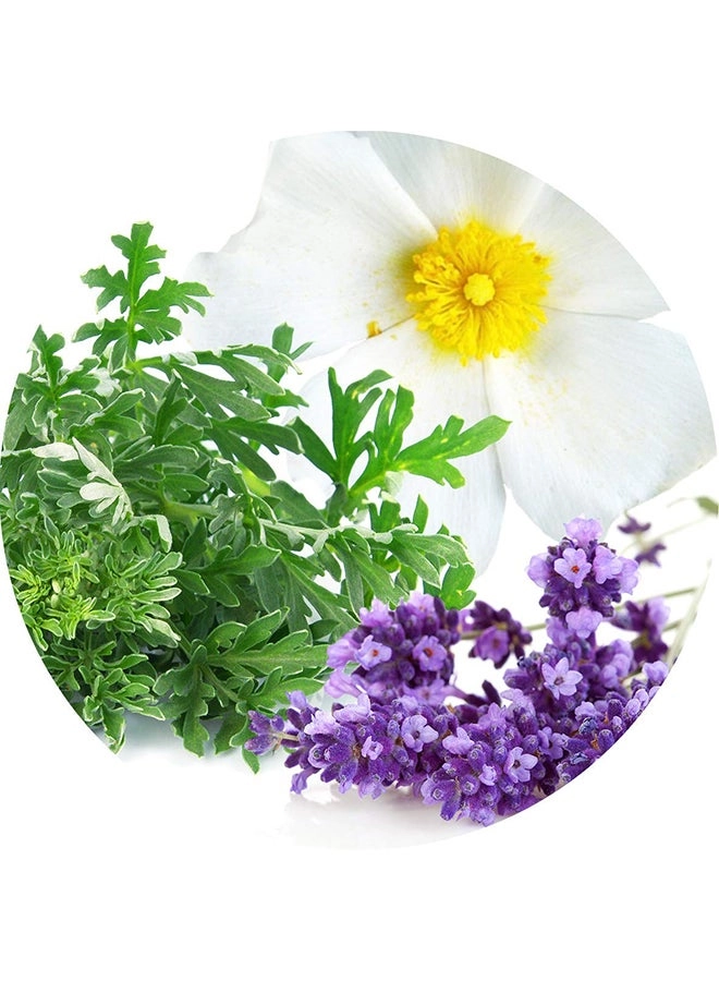 Man Intense Eau de Toilette 100ml