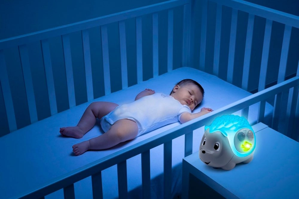 Hedgehog Day & Night - Sound effects